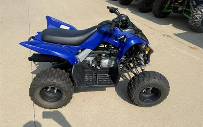 2025 Yamaha Raptor 110