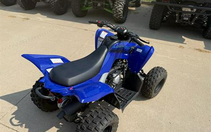 2025 Yamaha Raptor 110