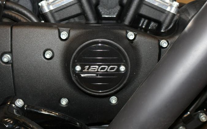 2021 Harley-Davidson Iron 1200 Stone Washed White Pearl