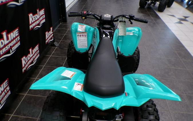 2025 Yamaha YFM01RYXSG