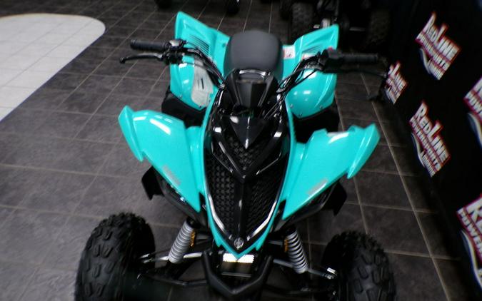 2025 Yamaha YFM01RYXSG