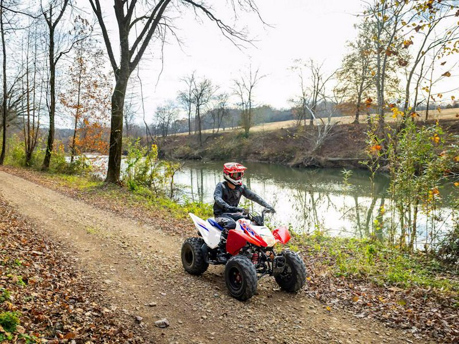 2026 Honda® TRX250X