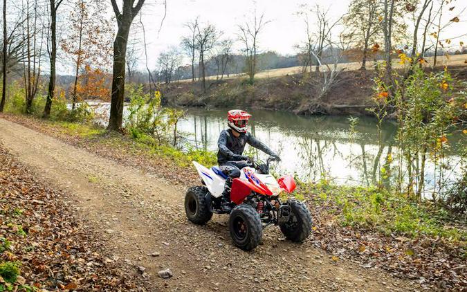 2026 Honda® TRX250X