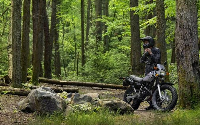 2025 Yamaha TW 200