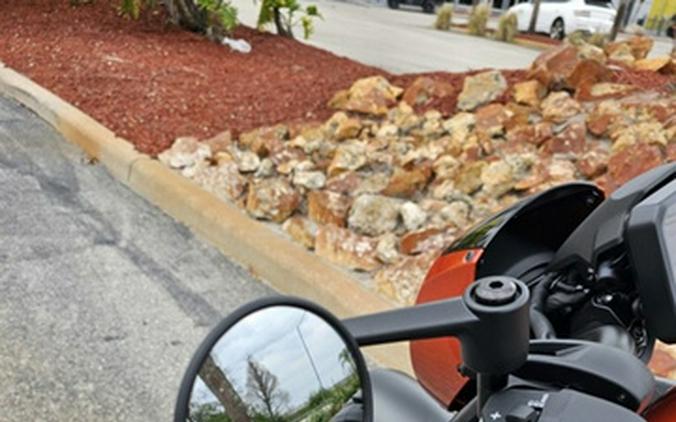 2025 Honda Rebel 1100 DCT SE