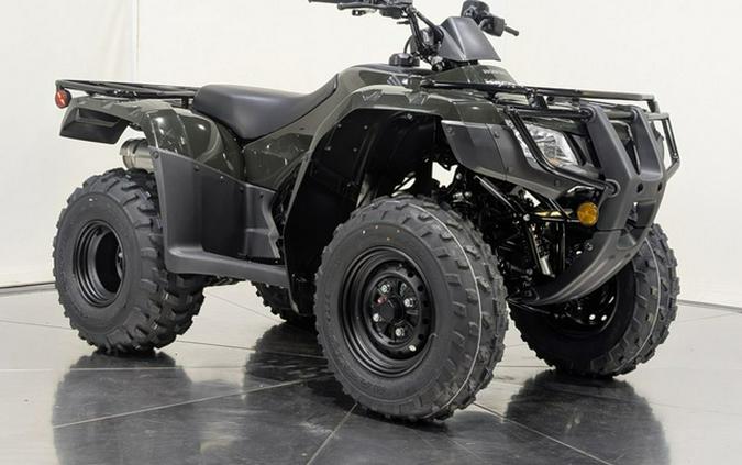 2026 Honda TRX 250X