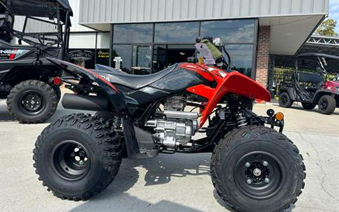 2024 Honda TRX250X