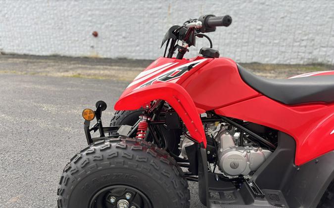 2026 Honda TRX 90X