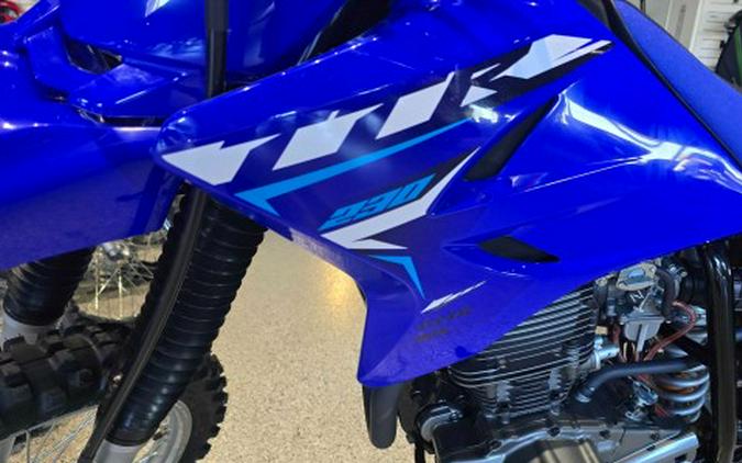2026 Yamaha TT-R230