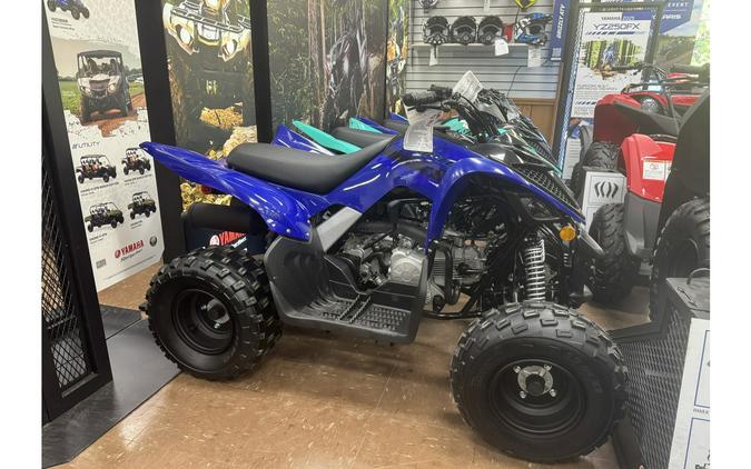 2025 Yamaha Raptor 110