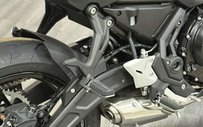 2026 Kawasaki EX650PTFAL