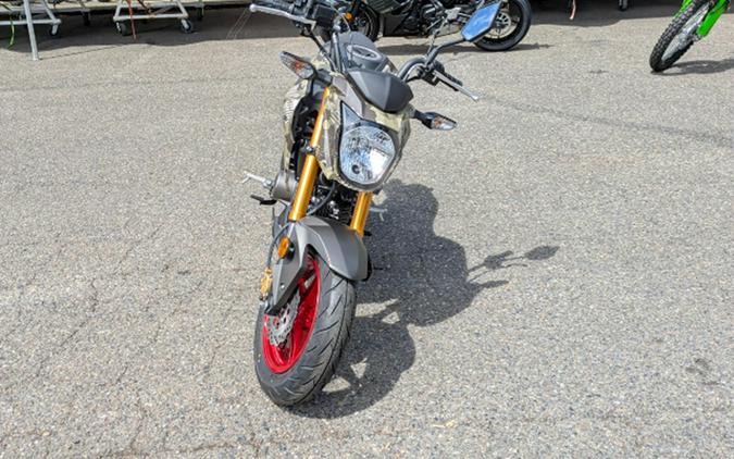 2025 Kawasaki Z125 Pro