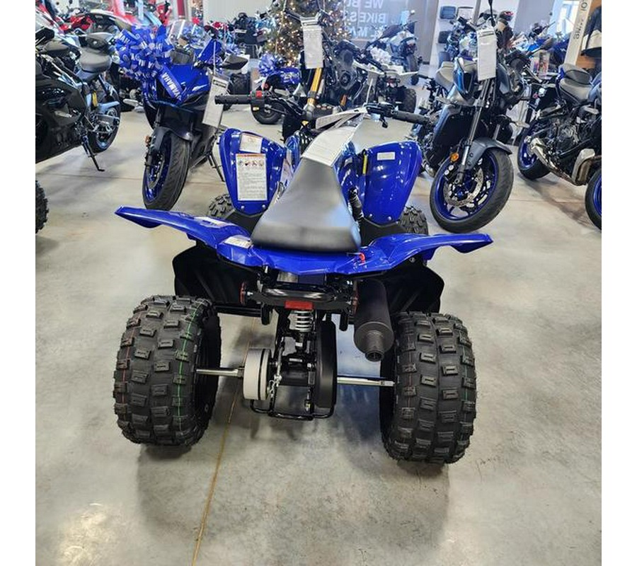 2024 Yamaha Raptor 110