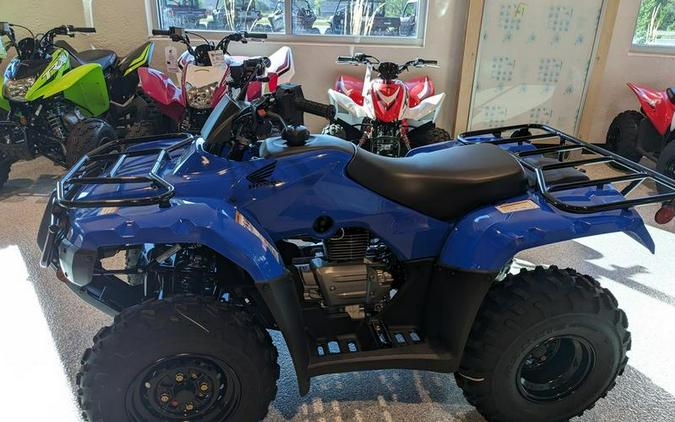 2023 Honda® Fourtrax Recon