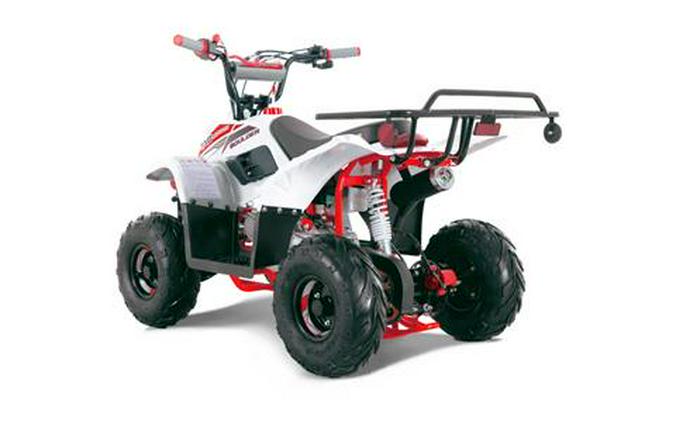 2024 Tao Motor Red Scout 110 Youth ATV