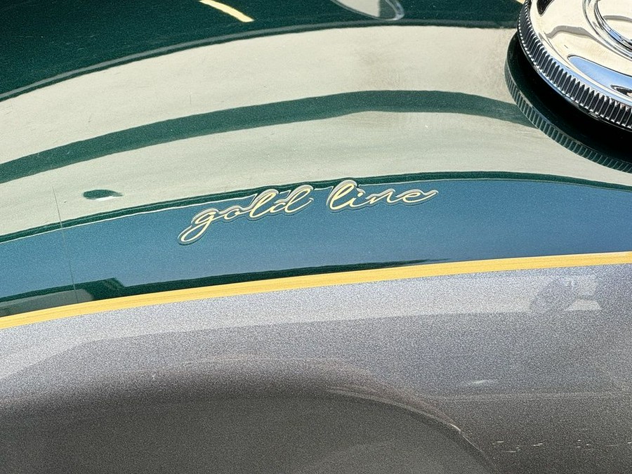 2022 Triumph Bonneville T120 Gold Line Silver Ice / Competition Green