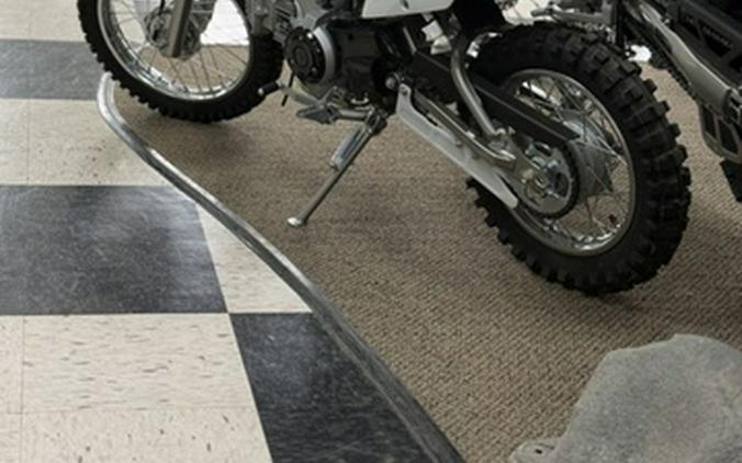 2026 Kawasaki KLX 110R