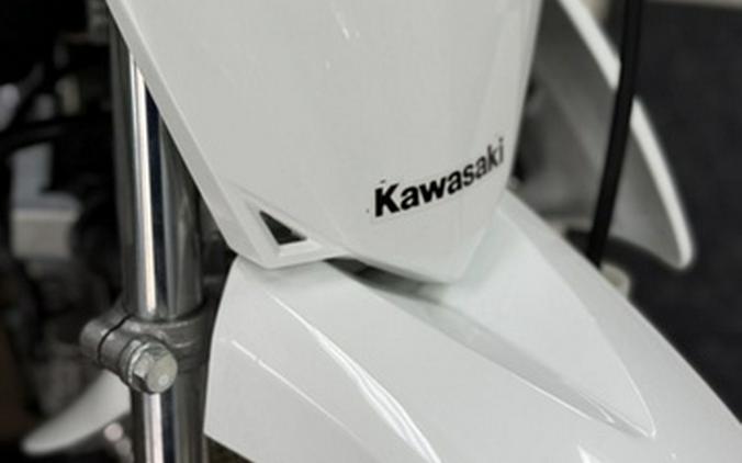 2026 Kawasaki KLX 110R