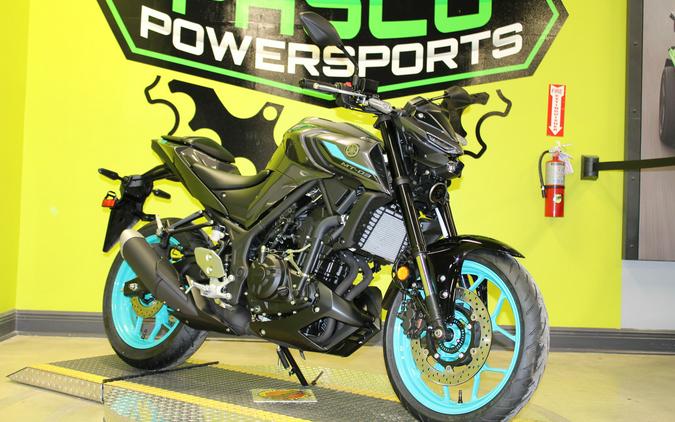 2024 Yamaha MT-03 / MT03RGY