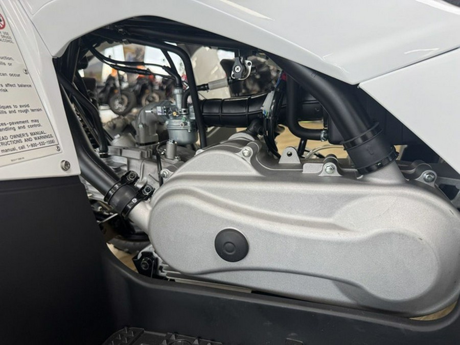 2024 Yamaha Grizzly 90