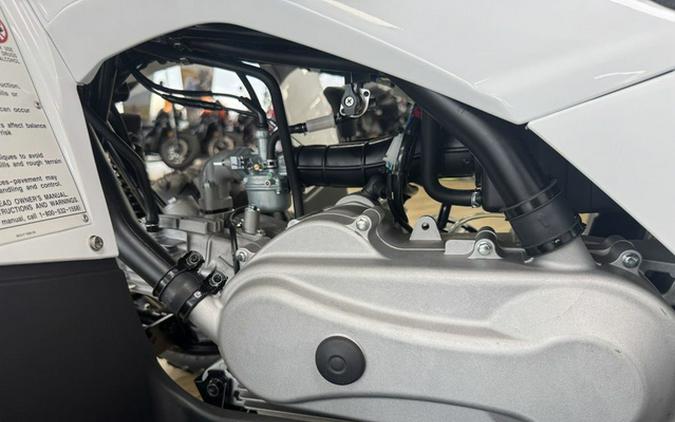 2024 Yamaha Grizzly 90