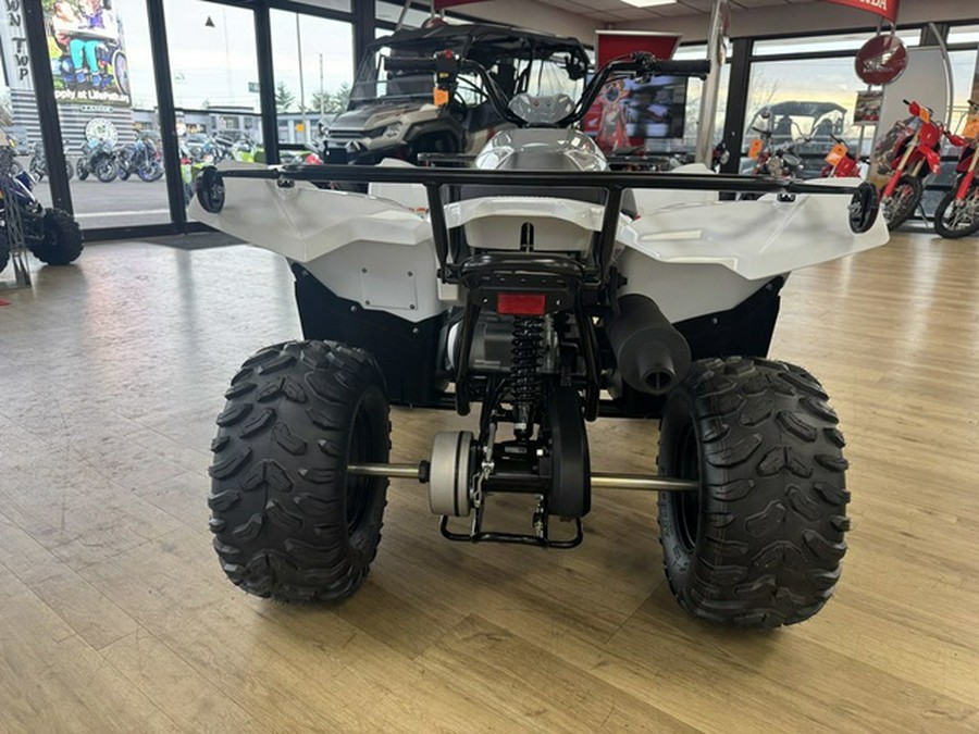 2024 Yamaha Grizzly 90