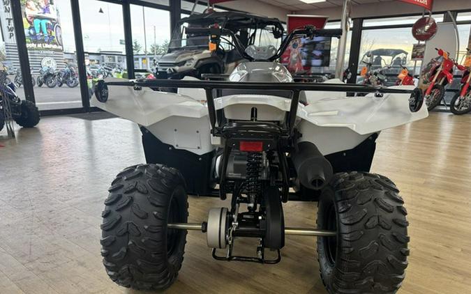 2024 Yamaha Grizzly 90