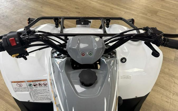 2024 Yamaha Grizzly 90