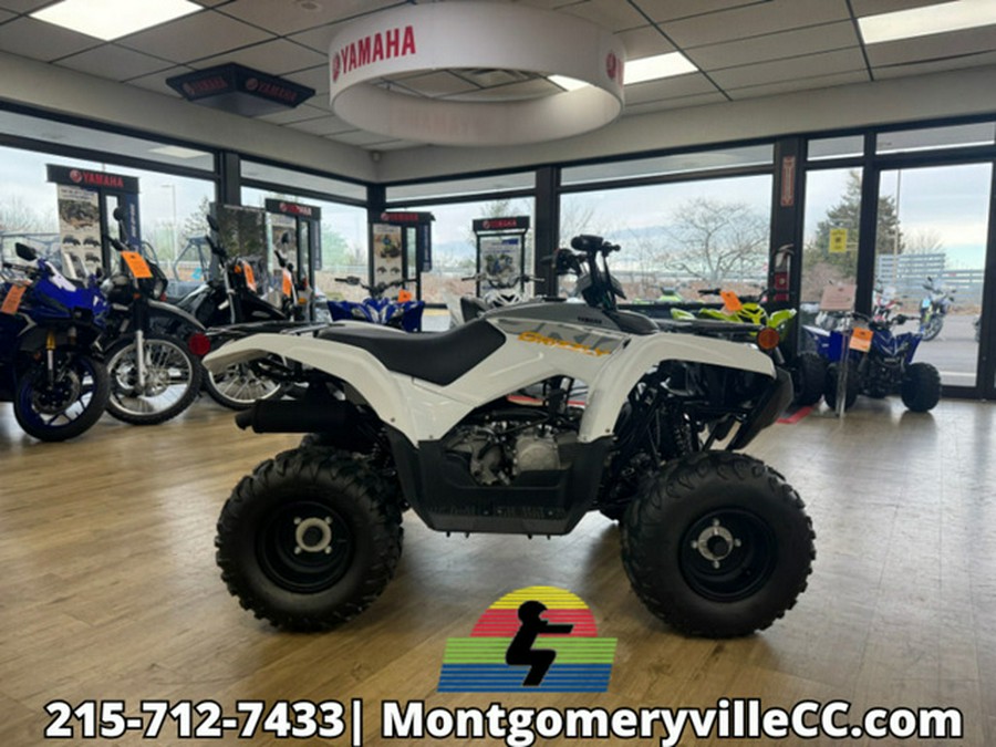 2024 Yamaha Grizzly 90