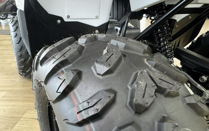 2024 Yamaha Grizzly 90