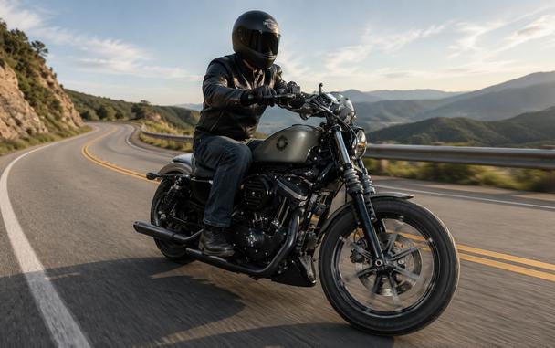 2019 HARLEY-DAVIDSON XL883N - F427891