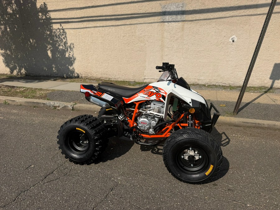 2026 Kayo Storm 300 EFI