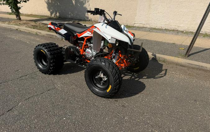 2026 Kayo Storm 300 EFI