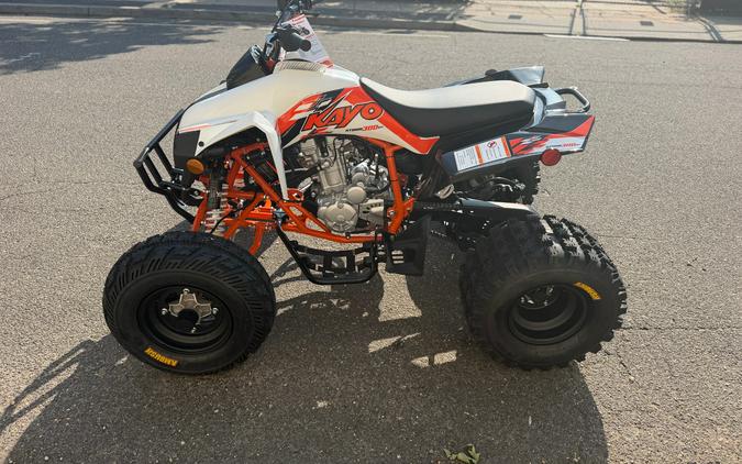 2026 Kayo Storm 300 EFI