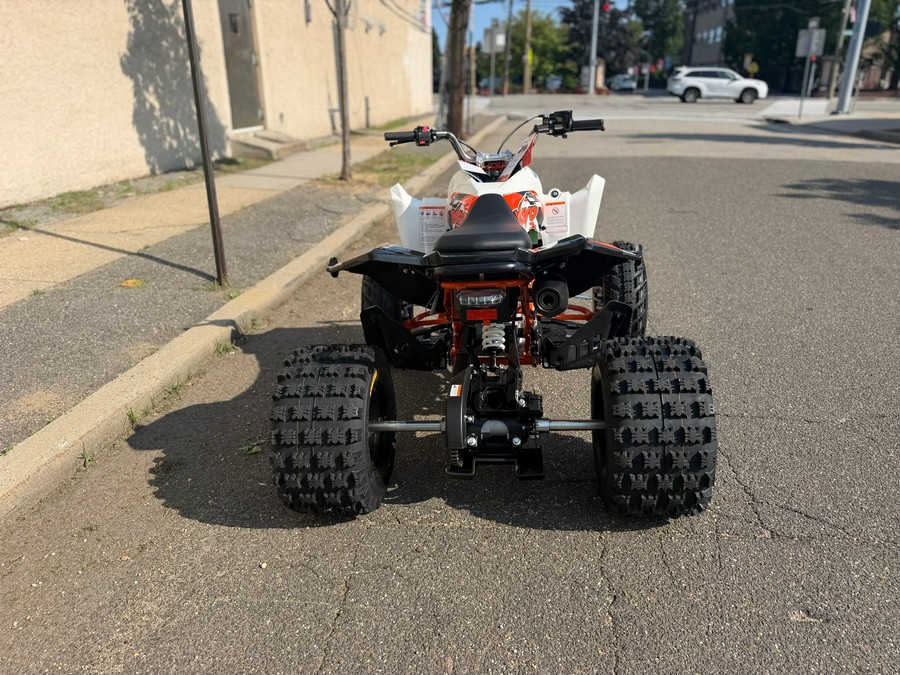 2026 Kayo Storm 300 EFI