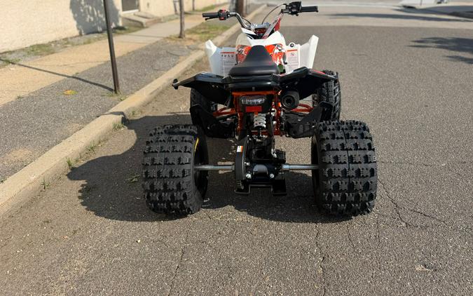 2026 Kayo Storm 300 EFI