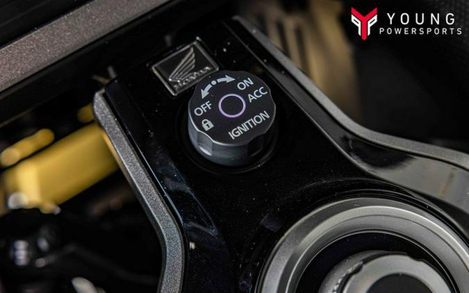 2025 Honda Gold Wing Tour 50th Anniversary DCT