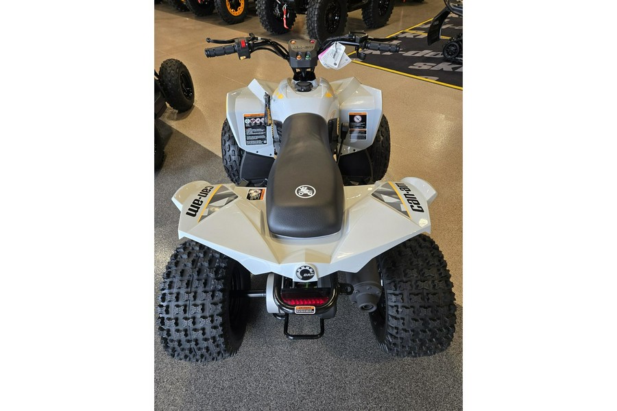 2026 Can-Am RENEGADE 110 EFI