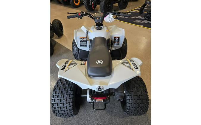 2026 Can-Am RENEGADE 110 EFI