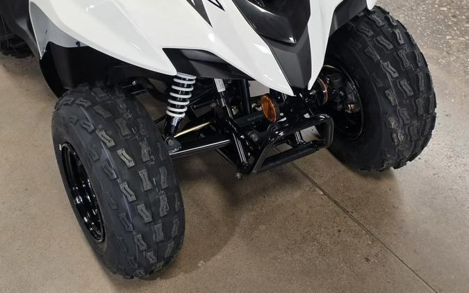 2027 Kawasaki KFX® 90