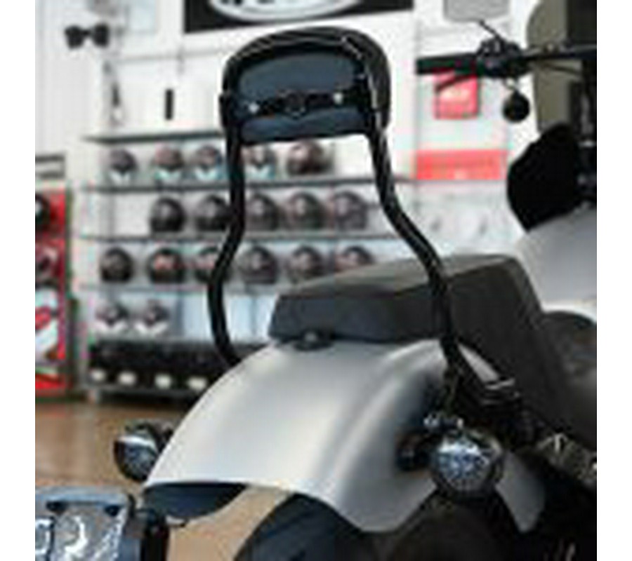 2020 Harley Davidson Softail Street Bob