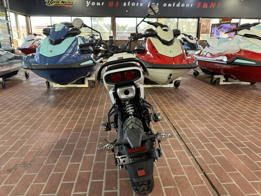 2026 CFMOTO Papio CL