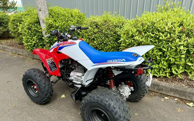 2026 Honda TRX 250X