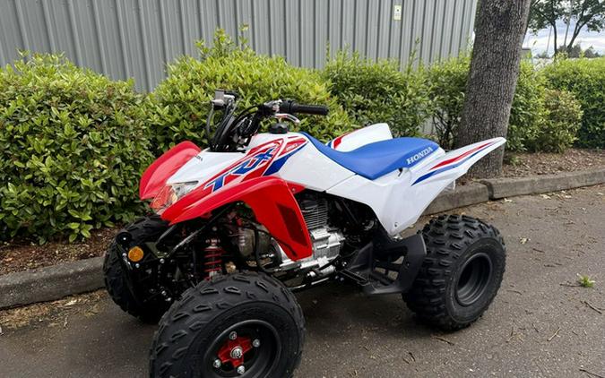 2026 Honda TRX 250X