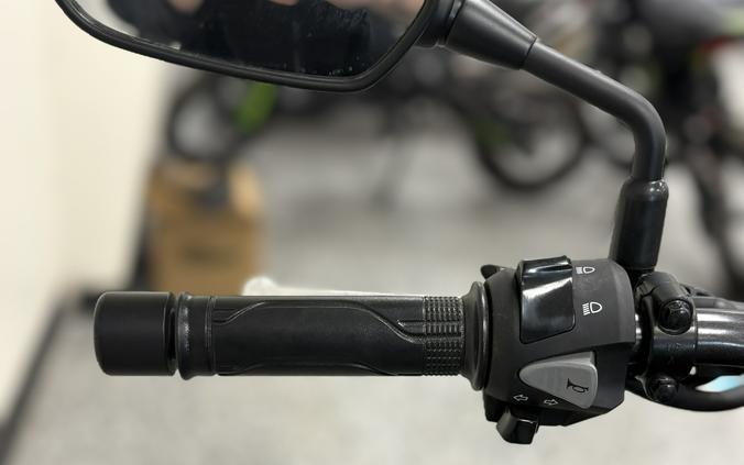 2025 Honda CB300R Matte Black Metallic - UH0110A