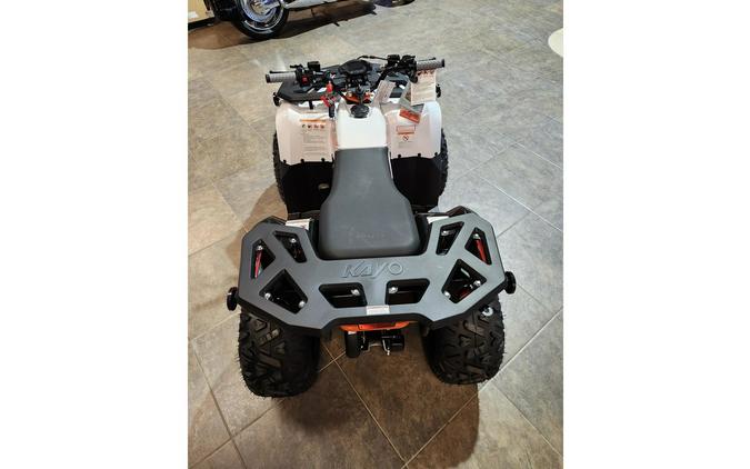 2025 AU125 BULL - Kayo