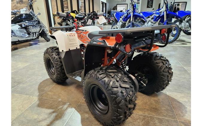2025 AU125 BULL - Kayo