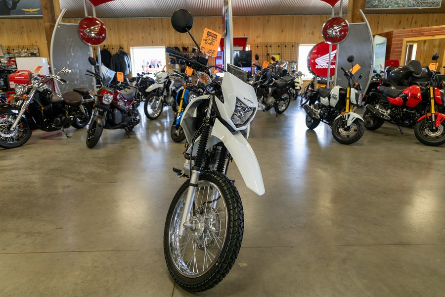 2024 Honda XR™ 150L - WHITE