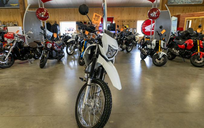 2024 Honda XR™ 150L - WHITE