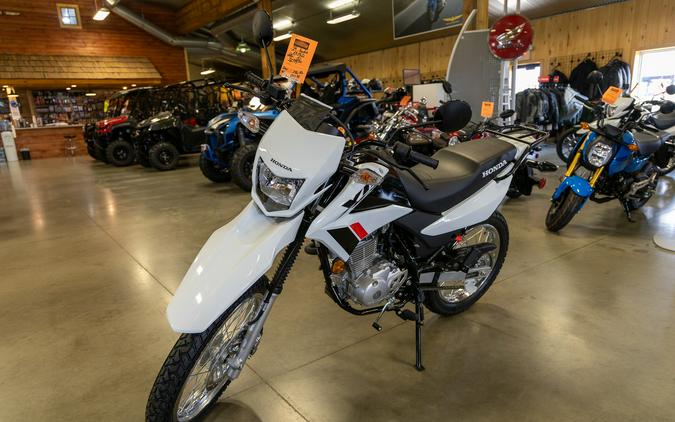 2024 Honda XR™ 150L - WHITE